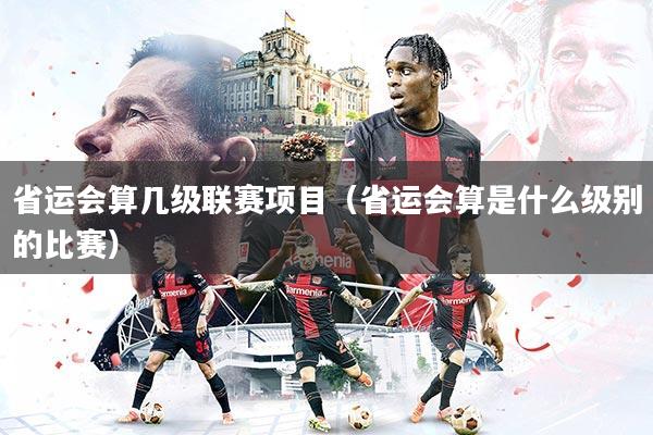 省运会算几级联赛项目(省运会算是什么级别的比赛)